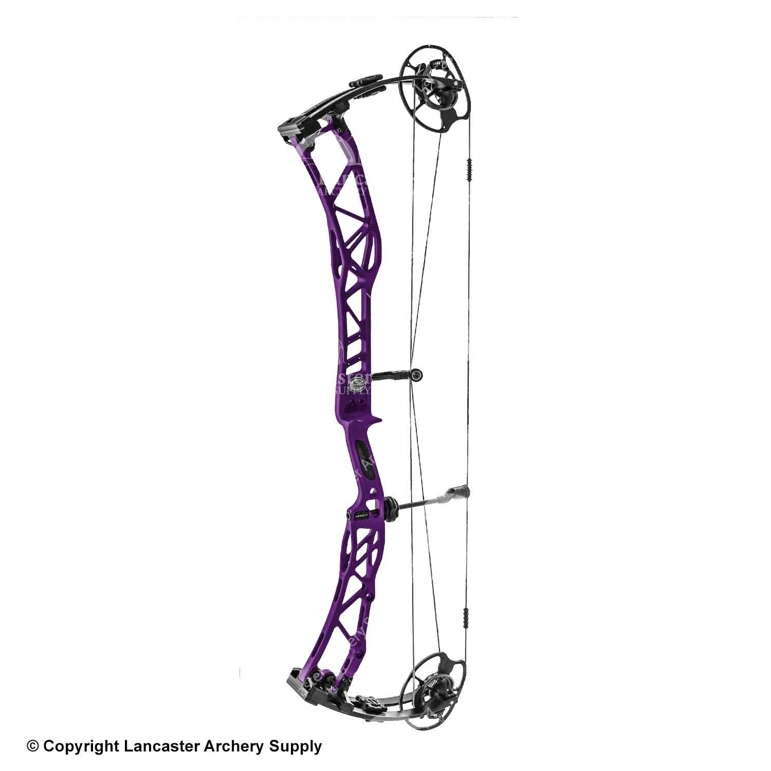 Elite Verdict Target Compound Bow 6 Elite Verdict Target Compound Bow - Image 4