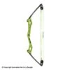 Bear Apprentice Compound Bow 1 Bear Apprentice Compound Bow -Apex Archery 1360277 gr