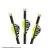Lumenok Lumen-Arrow Bolts W/ Capture Nocks -Apex Archery 1670020 or 20