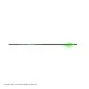 Carbon Express Predator II Fletched Arrow (Vanes) -Apex Archery 2250311 vanes