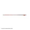 Carbon Express Maxima RED Fletched Arrows 2 Carbon Express Maxima RED Fletched Arrows -Apex Archery 2250555 arrow