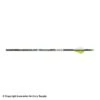 Carbon Express PileDriver Hunter DS Fletched Arrows -Apex Archery 2250621