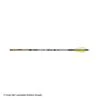 Gold Tip Velocity Valkyrie Fletched Arrows -Apex Archery 2320356 shaft