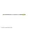 Gold Tip Velocity Valkyrie XT Fletched Arrows -Apex Archery 2320357 shaft