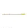 Gold Tip Hunter Pro Fletched Arrows 2 Gold Tip Hunter Pro Fletched Arrows -Apex Archery 2320358 label 2022