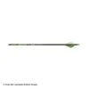 Gold Tip Hunter XT Fletched Arrows -Apex Archery 2320359
