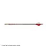 Gold Tip Velocity Fletched Arrows -Apex Archery 2320366