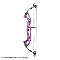2019 Hoyt Prevail 37 Compound Target Bow (SVX Cam & 1/2) -Apex Archery 2560814 violet