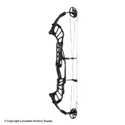 2020 Hoyt Invicta 40 Compound Target Bow (DCX Cam & 1/2) 11 2020 Hoyt Invicta 40 Compound Target Bow (DCX Cam & 1/2) -Apex Archery 2561041 jet