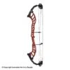 2021 Hoyt Altus 38 Compound Target Bow DCX Cam (Clearance X1033002) -Apex Archery 2561104 red b98a0041 e937 4a45 8741 20a07f244b34