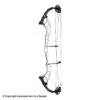2021 Hoyt Altus 38 Compound Target Bow DCX Cam (Clearance X1033080) -Apex Archery 2561104 white