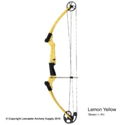 Genesis Archery Original Genesis Bow (Colors) 17 Genesis Archery Original Genesis Bow (Colors) -Apex Archery 3110064 lemonyellow