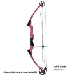 Genesis Archery Original Genesis Bow (Colors) 19 Genesis Archery Original Genesis Bow (Colors) -Apex Archery 3110064 wildberry