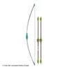 Parris AVI Youth Bow & Arrow Set 2 Parris AVI Youth Bow & Arrow Set -Apex Archery 3430007