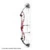 2021 PSE Citation EM Compound Target Bow -Apex Archery 3530670