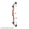 2021 PSE Lazer Target Compound Bow -Apex Archery 3530672 blackcherry