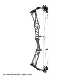2020 Elite REZULT Target Compound Bow 12 2020 Elite REZULT Target Compound Bow -Apex Archery 6530124 gray
