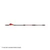 Bloodsport Judgement Fletched Arrows -Apex Archery 8500066 fletched