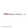 Bloodsport Witness Crossbow Arrows -Apex Archery 8500069