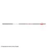 Bloodsport Prosecutor Fletched Arrows -Apex Archery 8500081