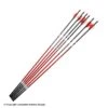 Carbon Express Maxima RED Fletched Arrows (Open Box X1033736) -Apex Archery X1033736